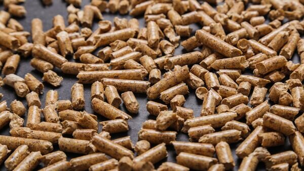   © Photo : Freepik / Yeko Photo Studio