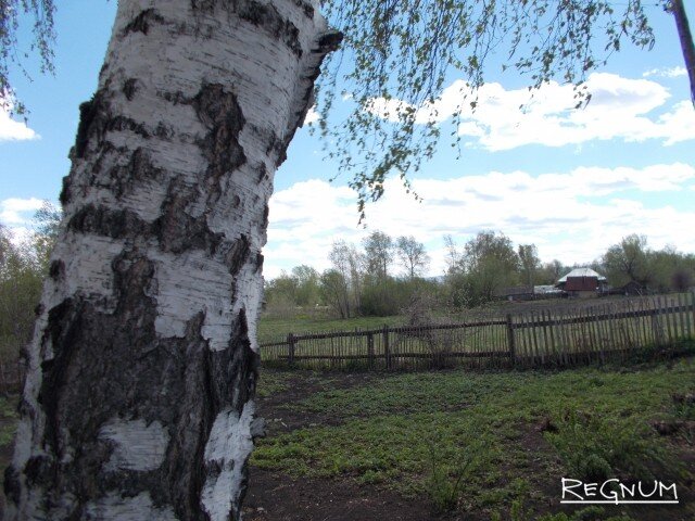    Деревня Анна Алябьева © ИА REGNUM