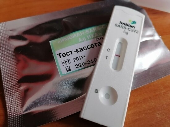     фото: МК в Туле