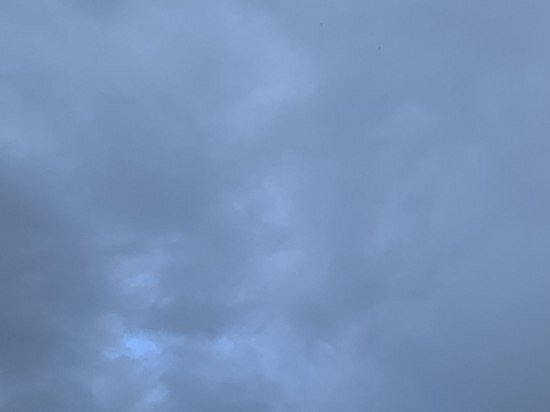     фото: МК в Туле