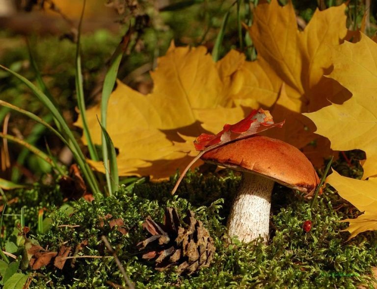    Антициклон из Казахстана принесет в Оренбуржье потепление до 20 градусов и выше Андрей Севостьянов