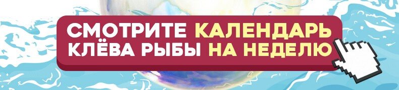 В середине осени температура воды колеблется от +10 до +4 градусов. В это время начинают погибать водоросли, а также появляется много насекомых и личинок в глубоких ямах. Это сказывается на рыбе – она мигрирует на глубину в поисках пропитания. Это правило действует как в отношении мирной, так и хищной рыбы.

В это время часто идут длительные дожди, плохо сказывающиеся на рыбалке. Также наблюдаются перепады атмосферного давления, негативно влияющие на активность рыбы. Лучше всего рыбачить осенью на хищников – щуку, окуня и других. Также хорошо себя покажет удочка с поплавком, позволяющая ловить мирную рыбу.