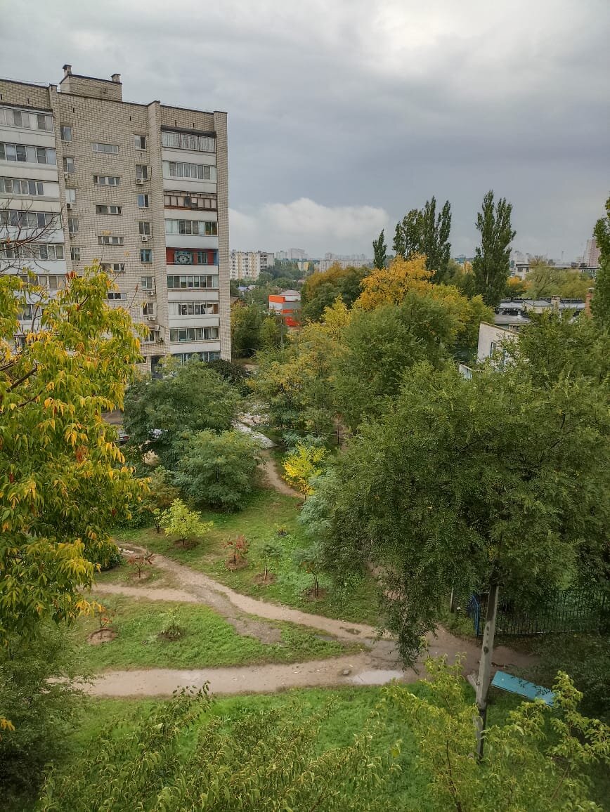 Вид из окна.