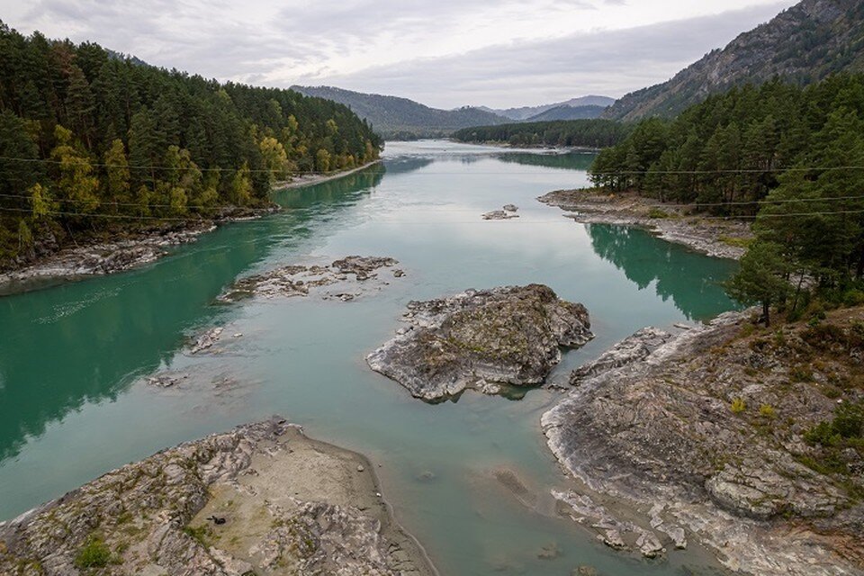    Туристы заблудились в лесу. Михаил ФРОЛОВ