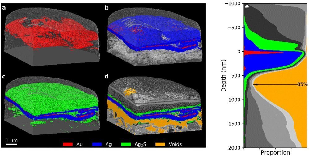     Фото: Qing Wu et al./ Nanoscale, 2022 3D-изображения, показывающие (a) Au, (b) Ag (с прозрачными пустотами), (c) «продукты коррозии серебра» и (d) другие сегменты. (e) Суммарный график профиля глубины однослойного участка образца, совмещенного с основным слоем сегмента Au