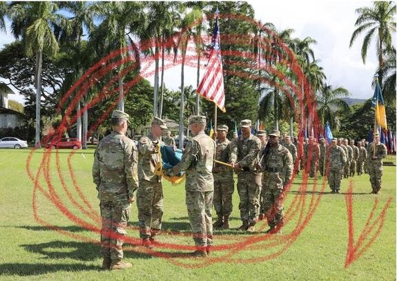    Фото: соцсети