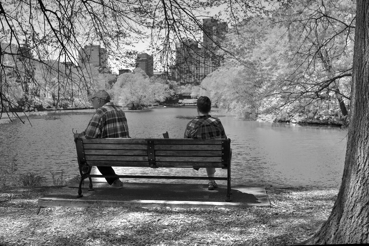 Фотография Tom Driggers. https://www.flickr.com/photos/24580165@N03/52060219793/