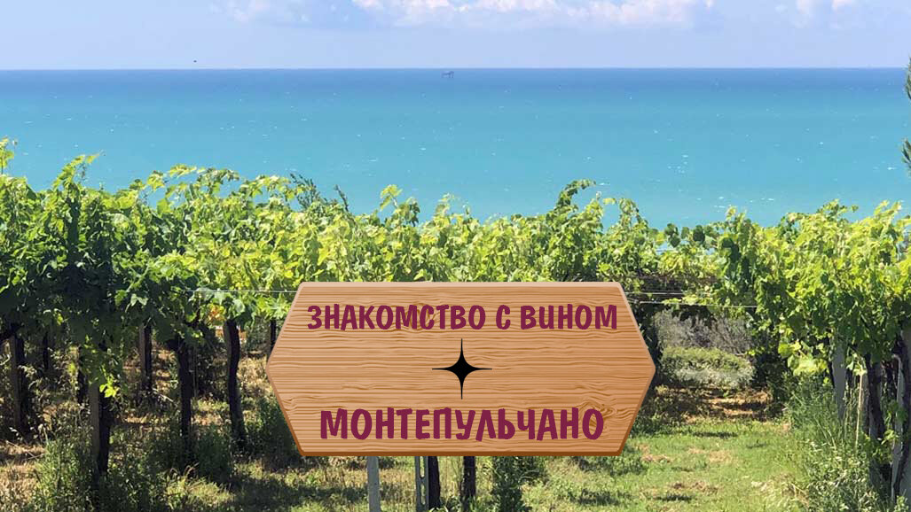 Виноградники д’Абруццо, Италия