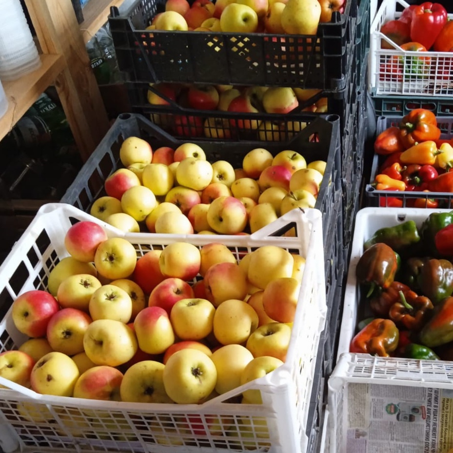 Это дядины урожай 2022. Личное фото.