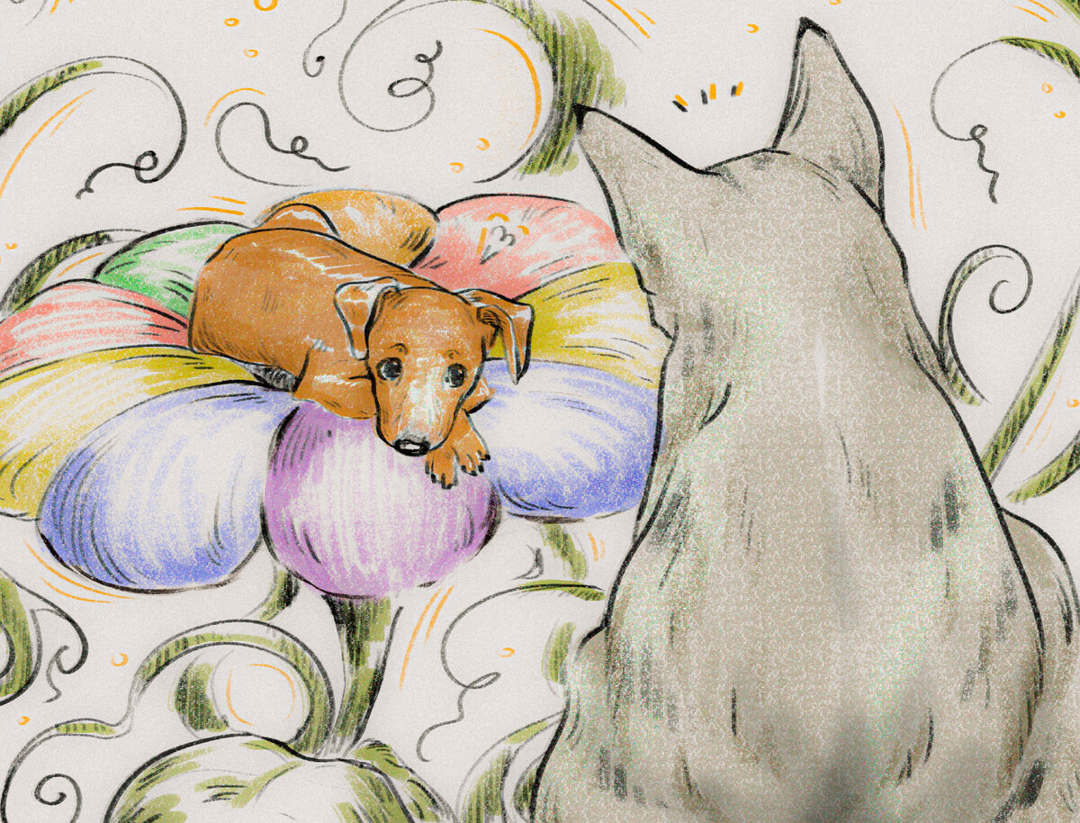 Пробуждение цветочного напарницы