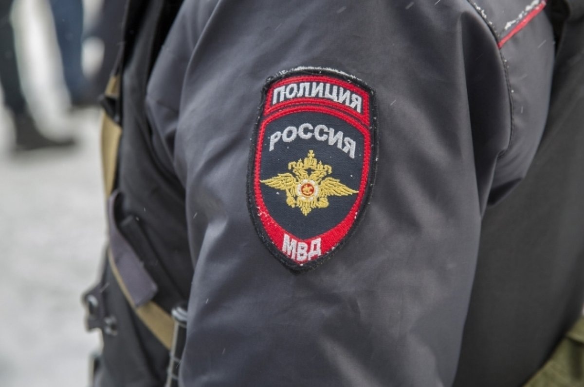    Дебошир из Гороховца пойдет под суд за публичное оскорбление полицейского