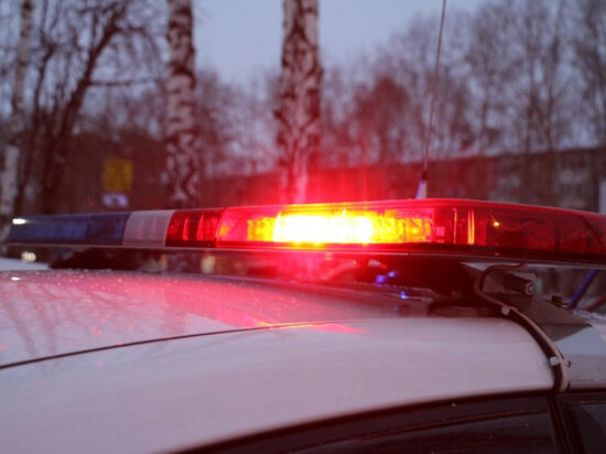     Фото: УМвд россии по томской области.