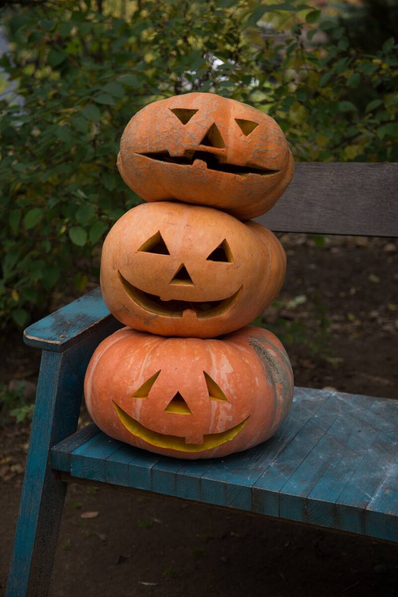 Фотография из личного архива. Фотограф мой сын.