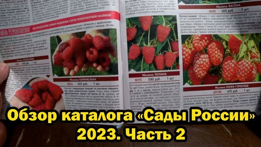 Смотрим каталог 