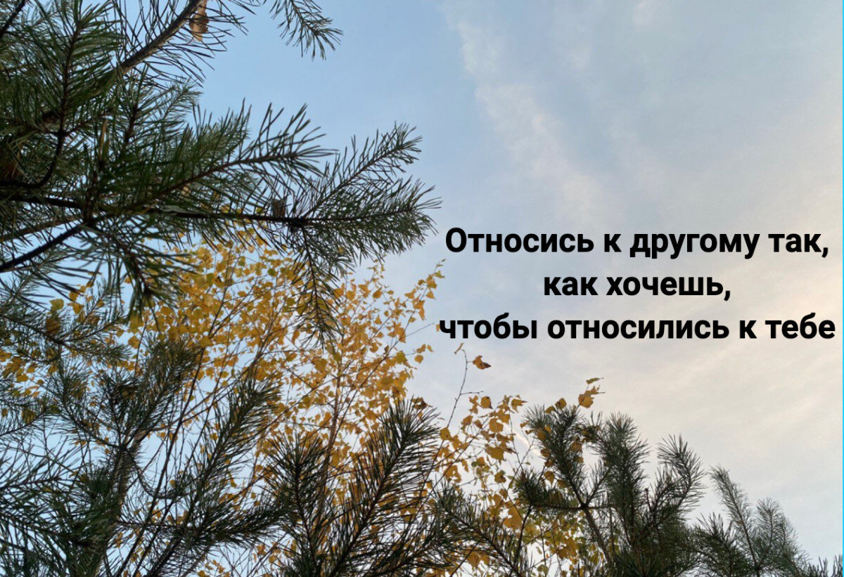 Относись к другому так, как хочешь, чтобы относились к тебе: как это  работает у вас? | Сайт психологов b17.ru | Дзен