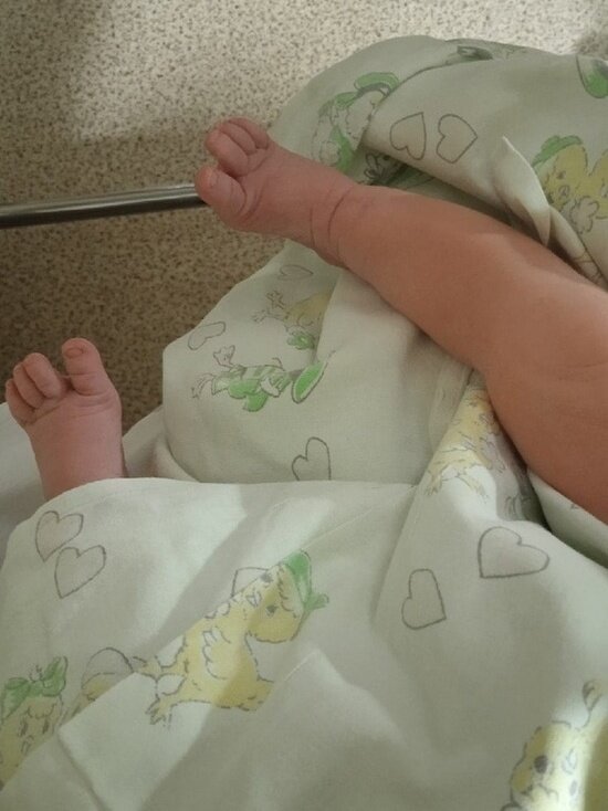     Архив "МК в Оренбурге"