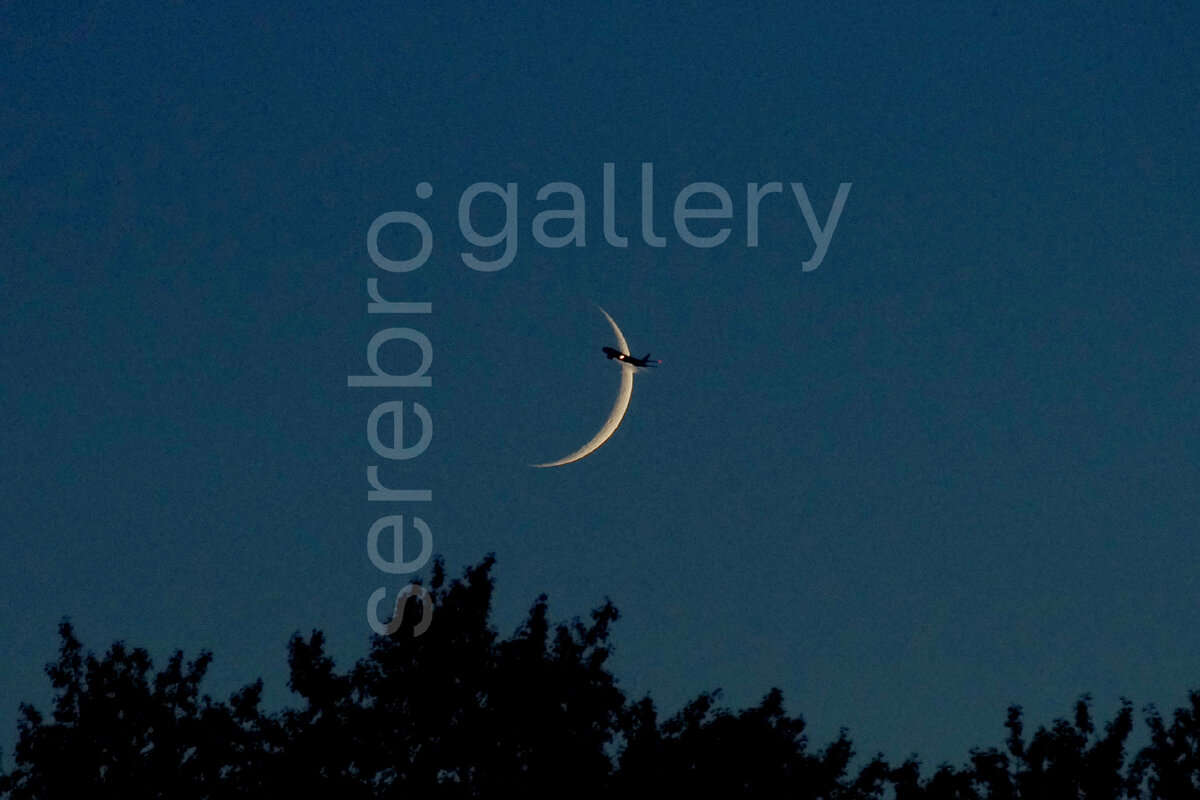 Гагик | @gag1k_live | «Совпадение? не думаю)» | Фотовыставка «Миг»