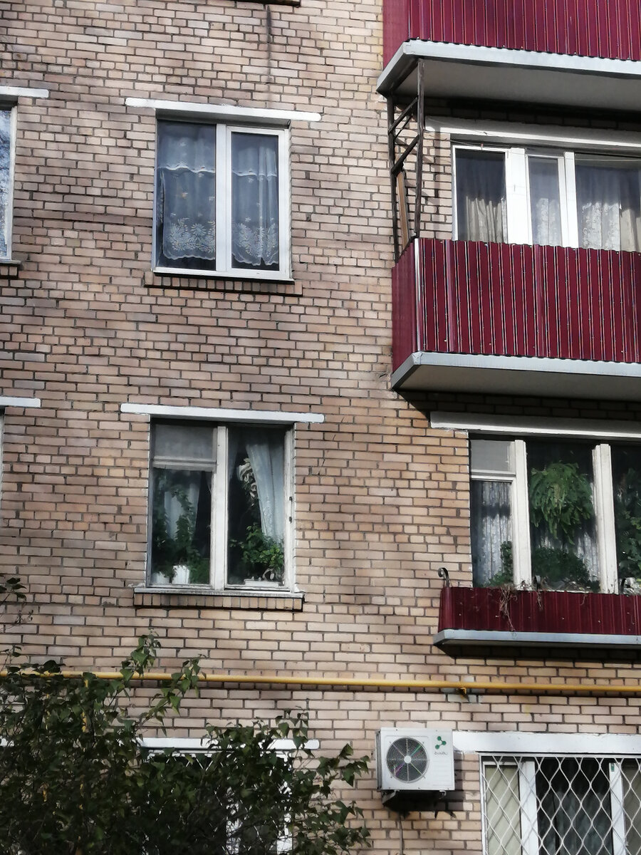 Наши два окна там, где на подоконниках много растений