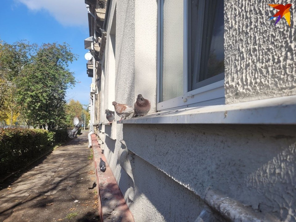     В банках Беларуси более 130 депозитных программ в BYN. Фото: носит иллюстративный характер. Васо Месхи-Георгиади