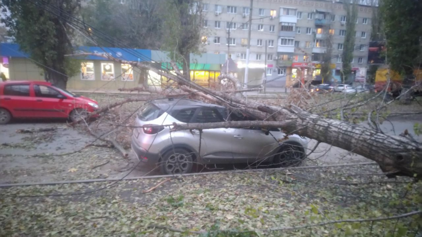   Фото Владимир Шанин