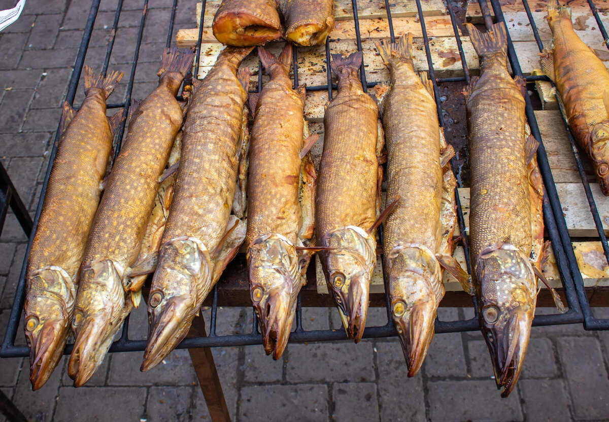 Рецепты холодного копчения рыбы в домашних условиях