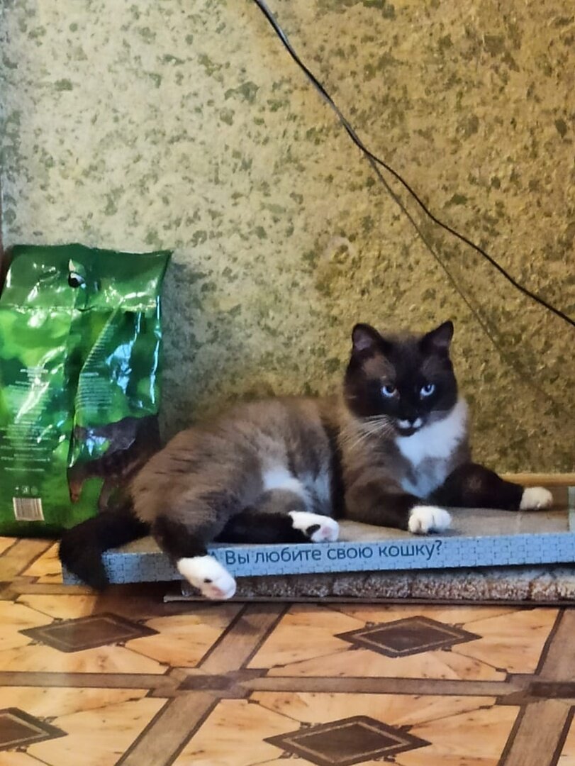 Майкл в новом доме