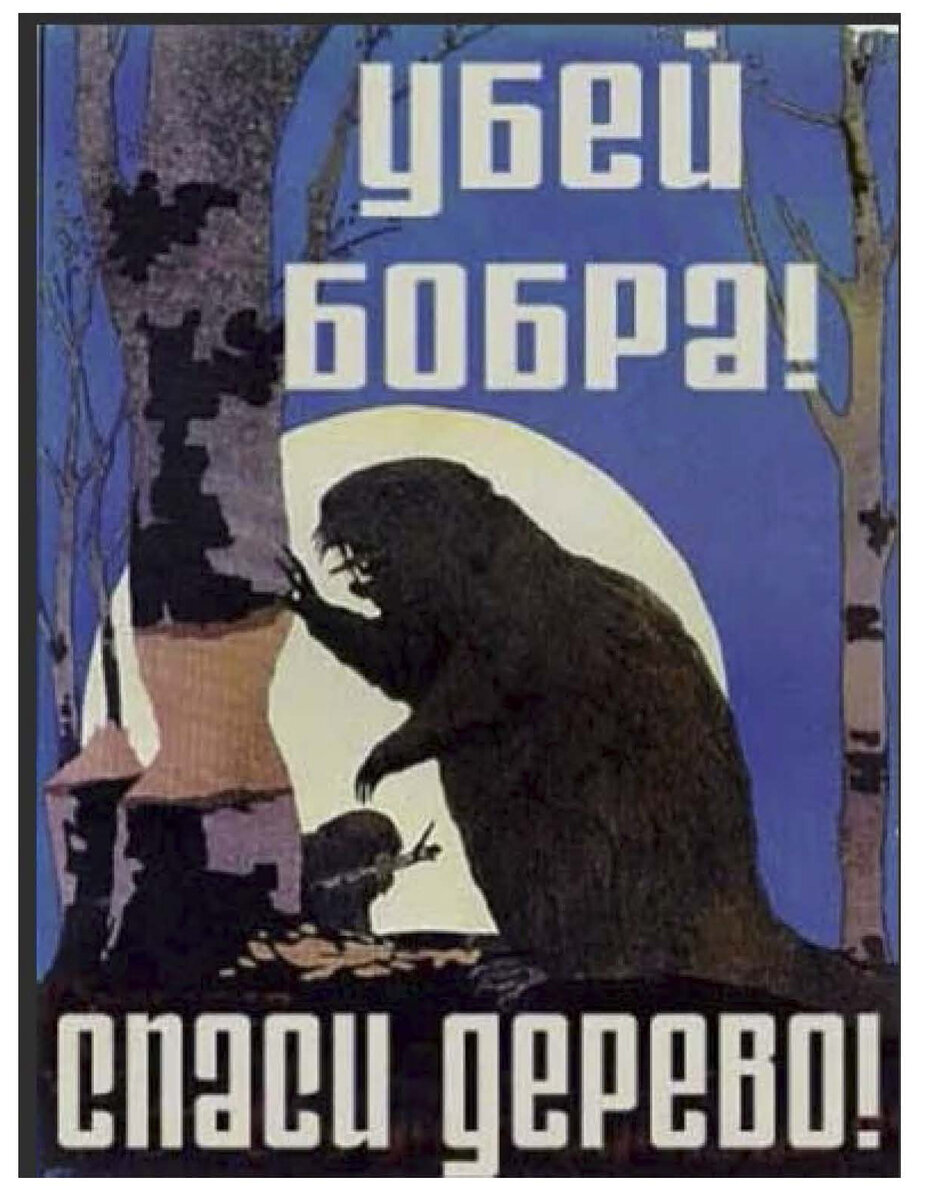 Спаси бобра. Убей бобра Спаси дерево. Убей бобра Спаси дерево стих. Сохрани дерево Убей бобра.