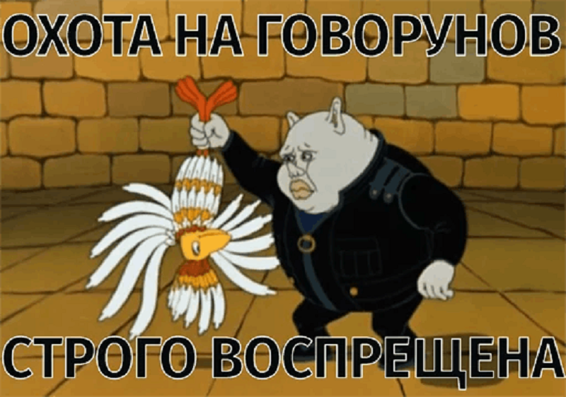 Держаться нету больше сил картинка. Птица Говорун. День Говоруна. Открытки с днём Говоруна. Птица Говорун отличается умом и сообразительностью