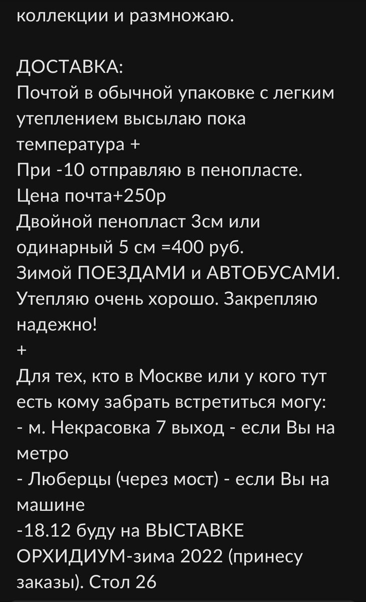 На Авито красивых комнатных растений день ото дня становится больше, весна  совсем рядом (100 фото)🪴 | Авито и Цветы | Дзен