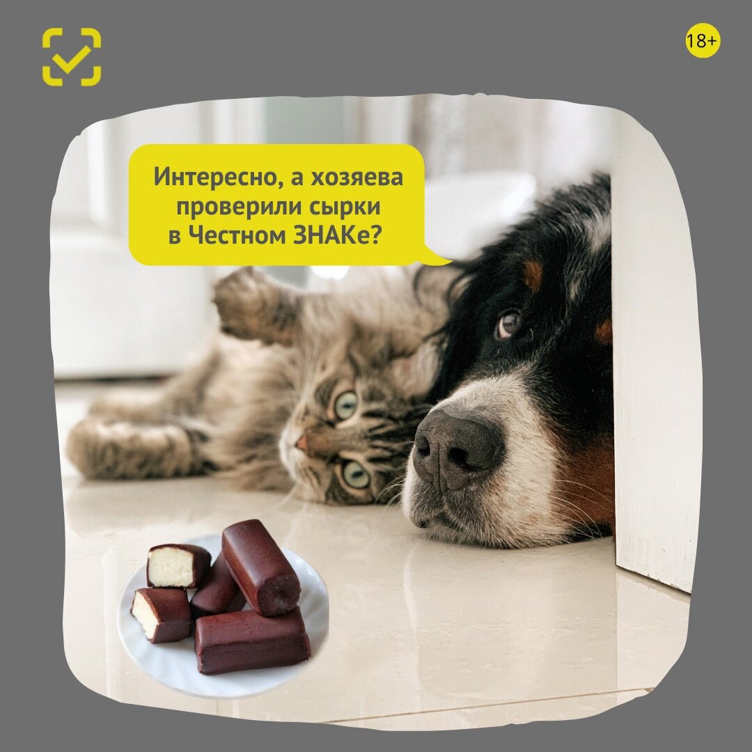 Порадовать себя и не отравиться: рассказываем, как выбрать идеальный творожный сырок