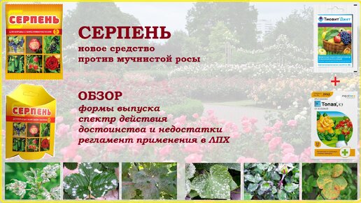 Серпень - новый фунгицид (Топаз + Тиовит Джет). Обзор средства от болезней растений