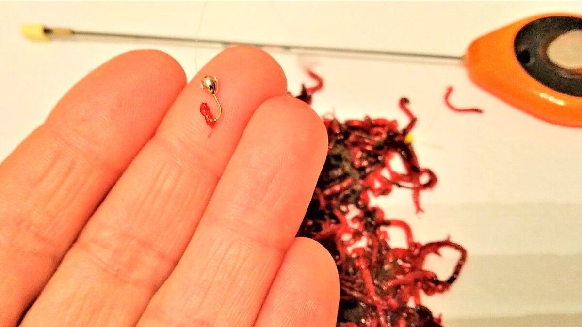 При ловле этим методом плотвы и ельца в стоячей воде на глубинах до 3 м использую золотистую вольфрамовую мормышку 0,2-0,3 гр