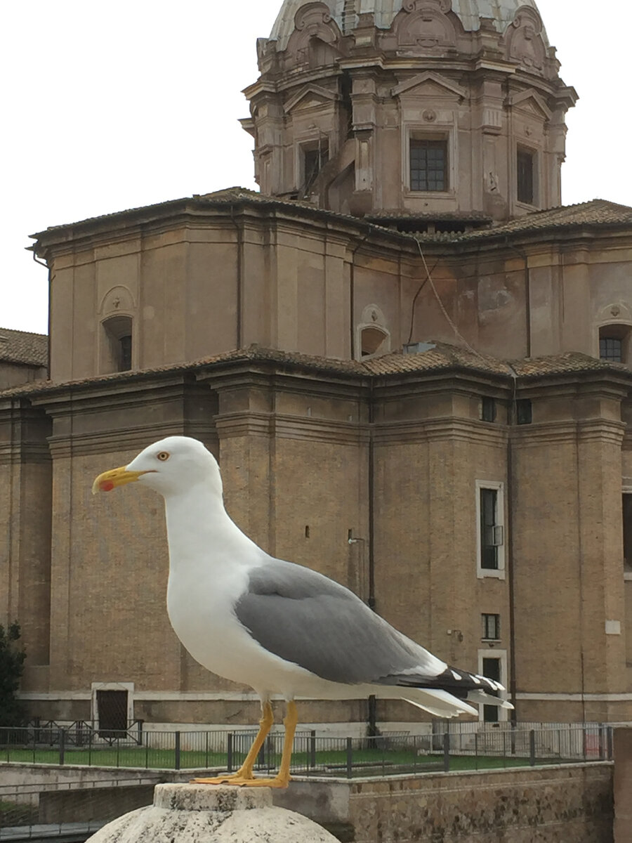 фото из личного альбома