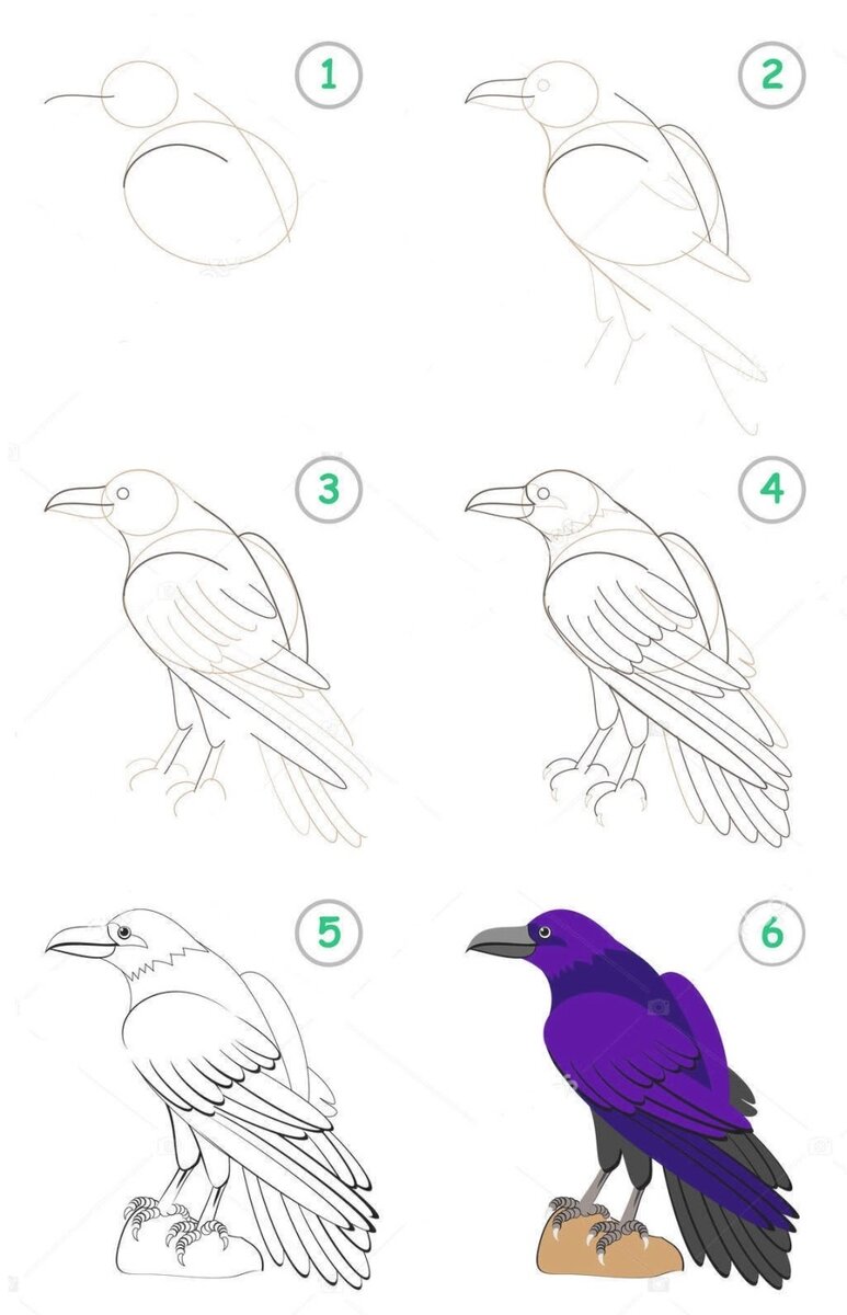 Как нарисовать ворону поэтапно?