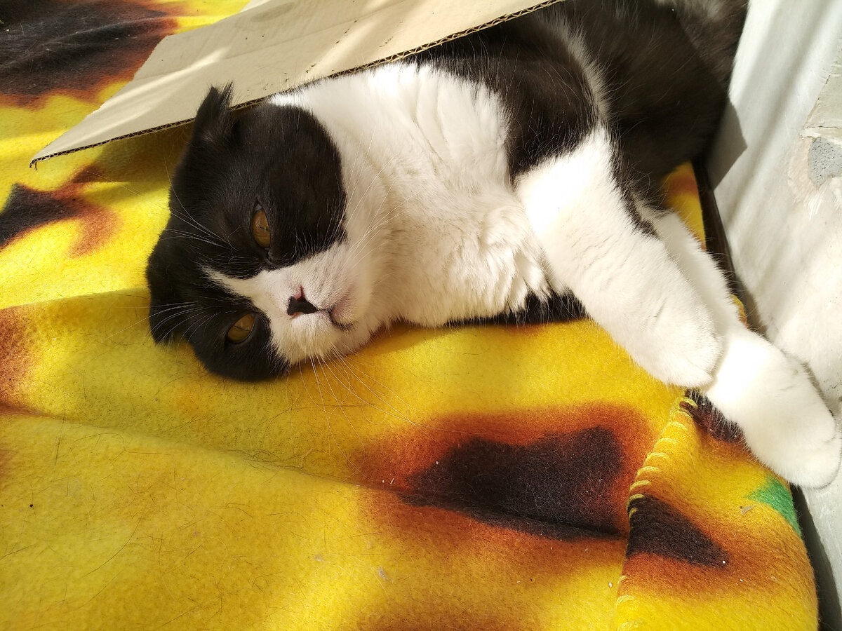 Хорошо на балконе  