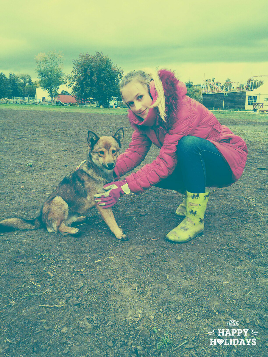 Соьака, выросшая на конюшне, где я работала