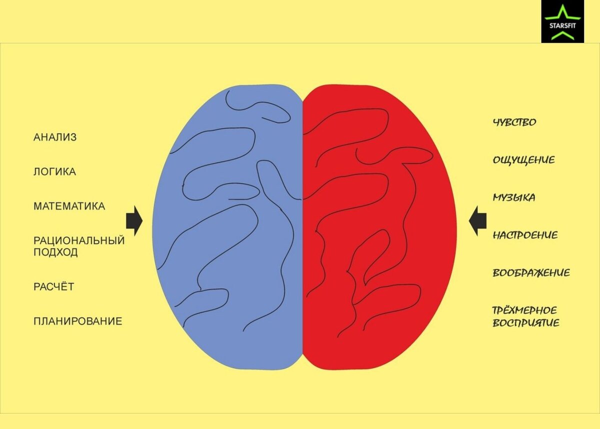 Картинка полушарие мозга. Эмоции правое и левое полушарие. Левое полушарие мозга эмоции. Левое и правое полушарие мозга. Левое полушарие мозга отвечает за эмоции.