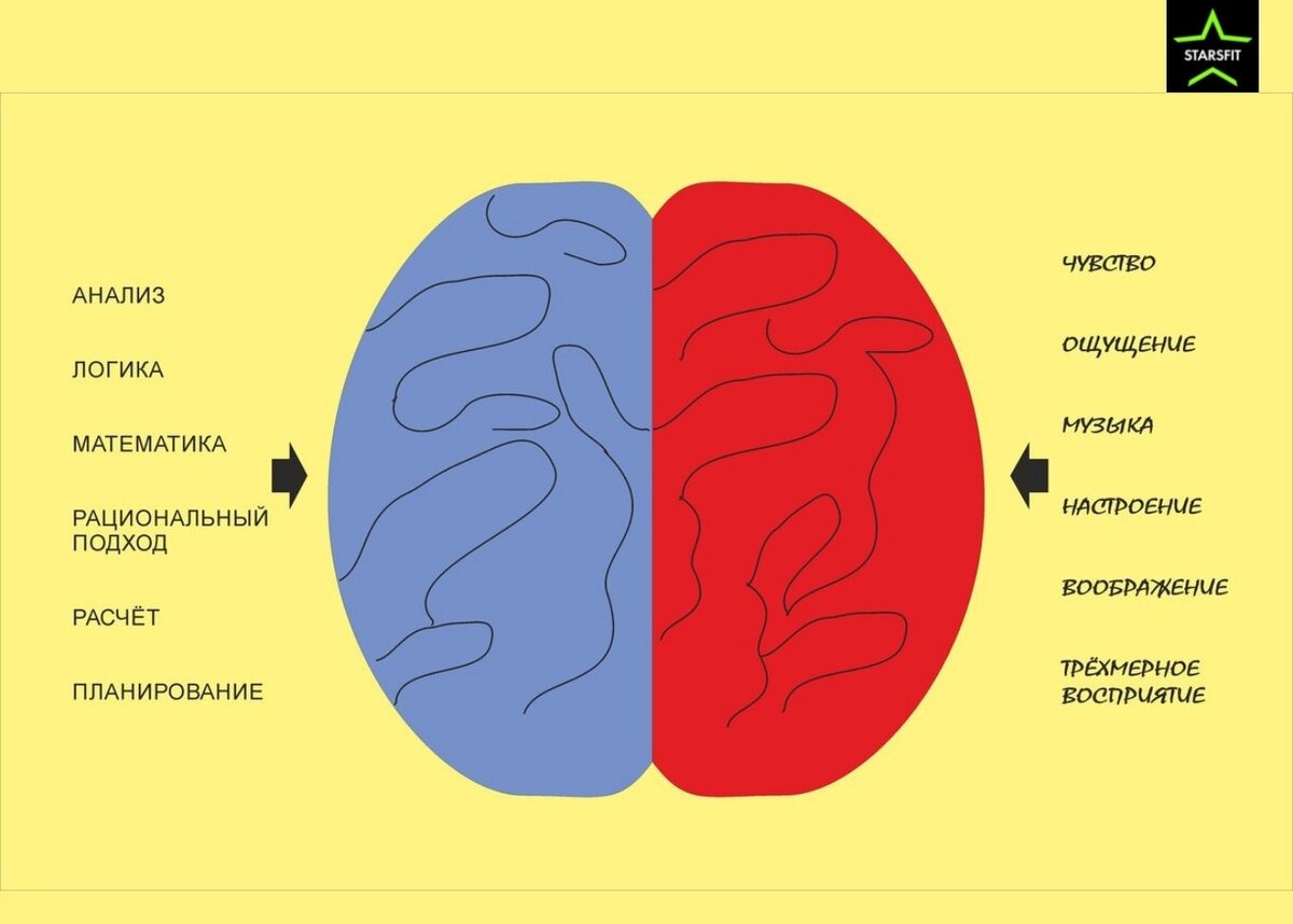 Левый ощущение. Эмоции правое и левое полушарие. Два полушария мозга.