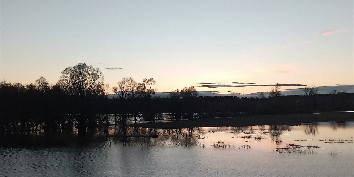                                                       Тихая вода. Фото автора канала.