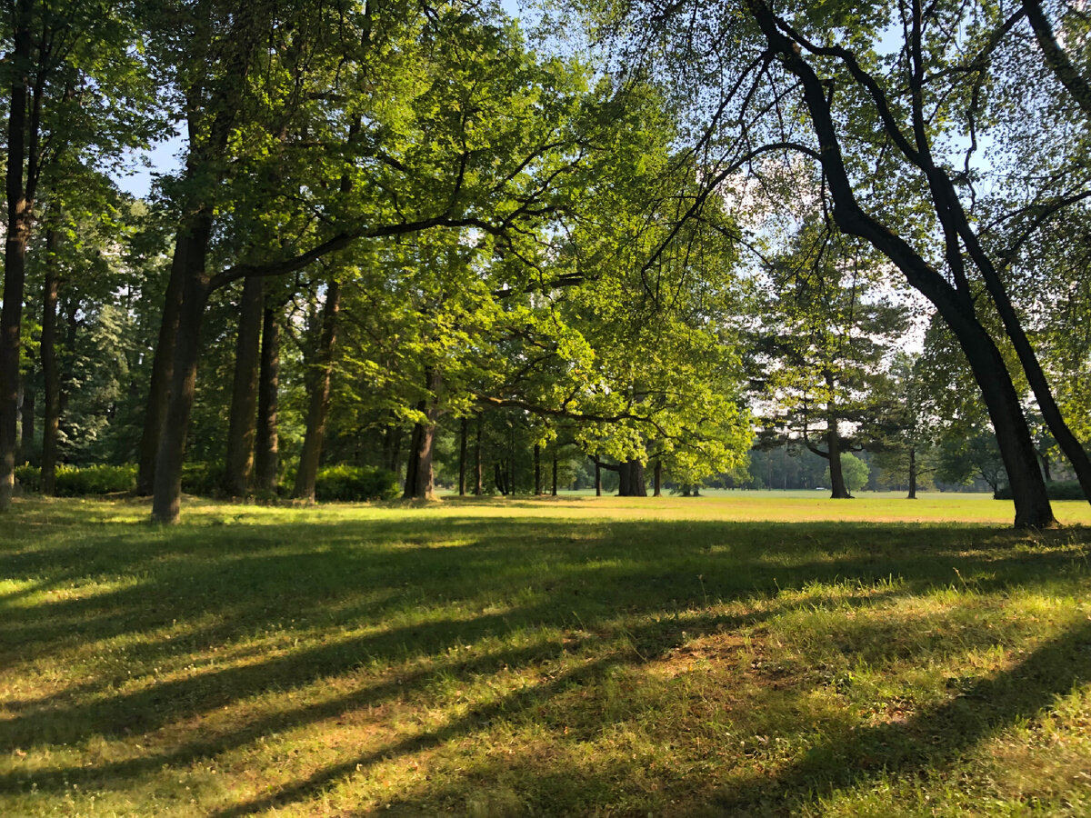 Пейзажный стиль парка Александрия