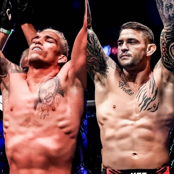 Взято из свободного источника Яндекс. Картинки 