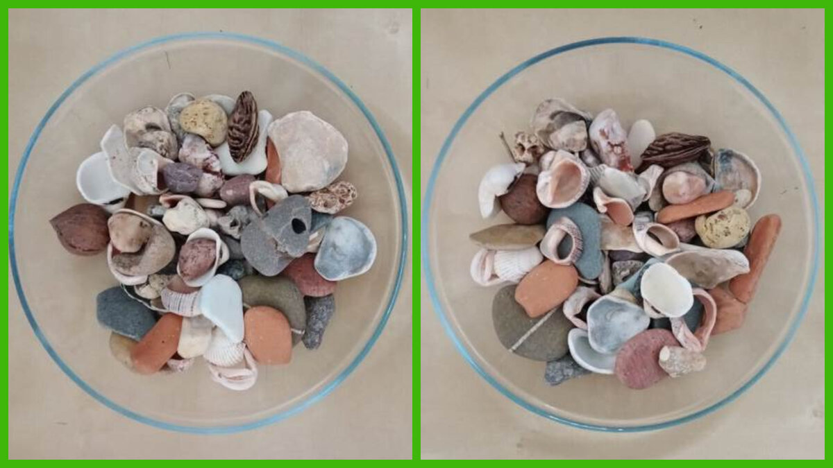 Эти дары привезены с берега Черного моря