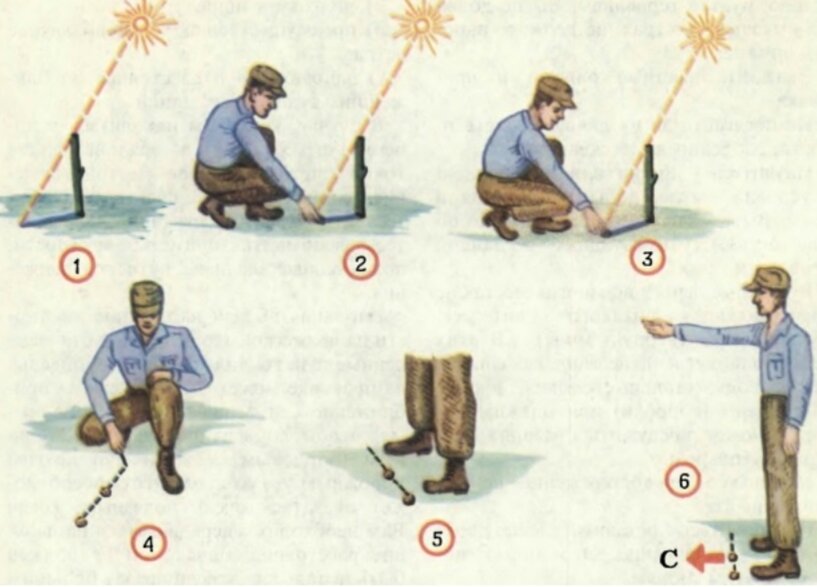 Рис. 1. Определите направление по методу тени