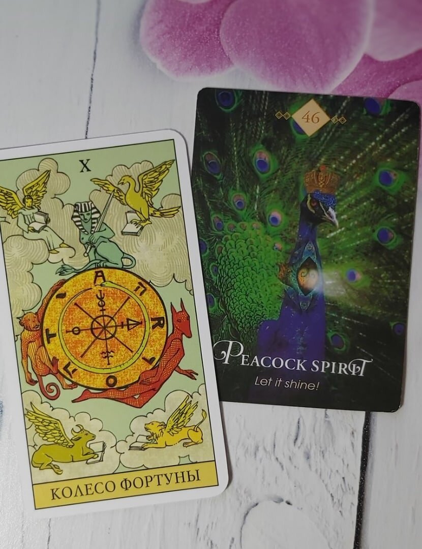 Карта дня 29.07.2021 года.
Старший Аркан Колесо Фортуны и поясняющая оракульная карта Павлин.
Сегодня сама судьба подарить вам шанс показать себя этому миру и вы должны непременно им воспользоваться. Выходите из тени и сияйте как можно ярче. Делитесь с окружающими своим светом, опытом, знаниями, эмоциями и энергией. Помните, чудесные возможности раскрыть свой потенциал и явить себя во всей красе предоставляются человеку не так уж и часто, чтобы отказываться от них из-за страхов или неуверенности в себе. 
Волшебного дня!

Колоды: "Таро Последствий" и "The Spirit Animal Oracle" by Colette Baron-Reid. 



