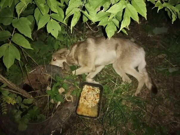 Фото девушки