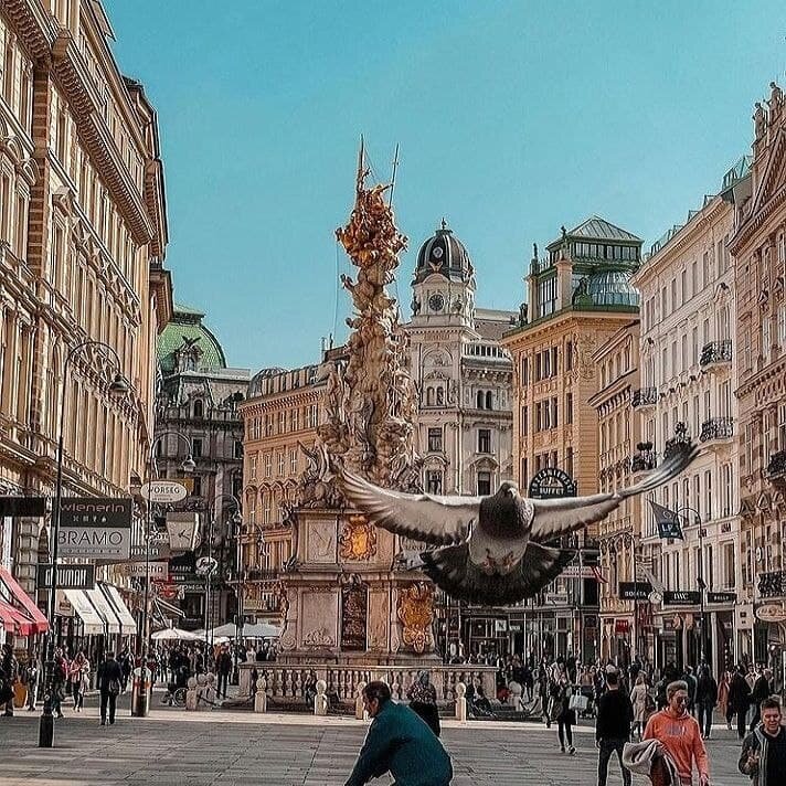 фото от @vienna_go