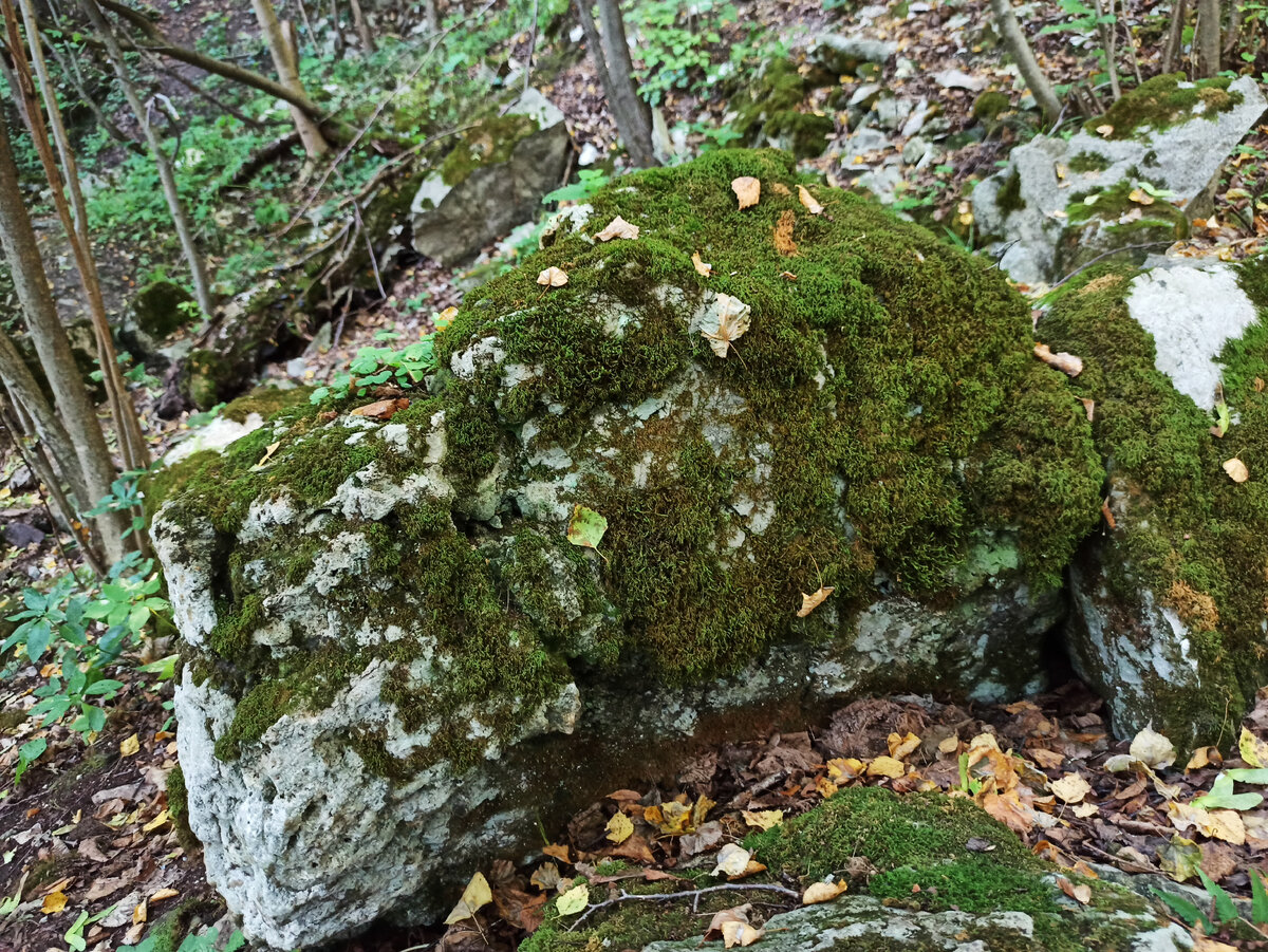 Кольцовские пещеры в калужской области фото