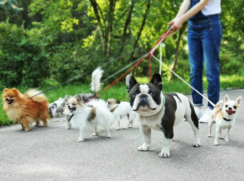 Фото с интернета.