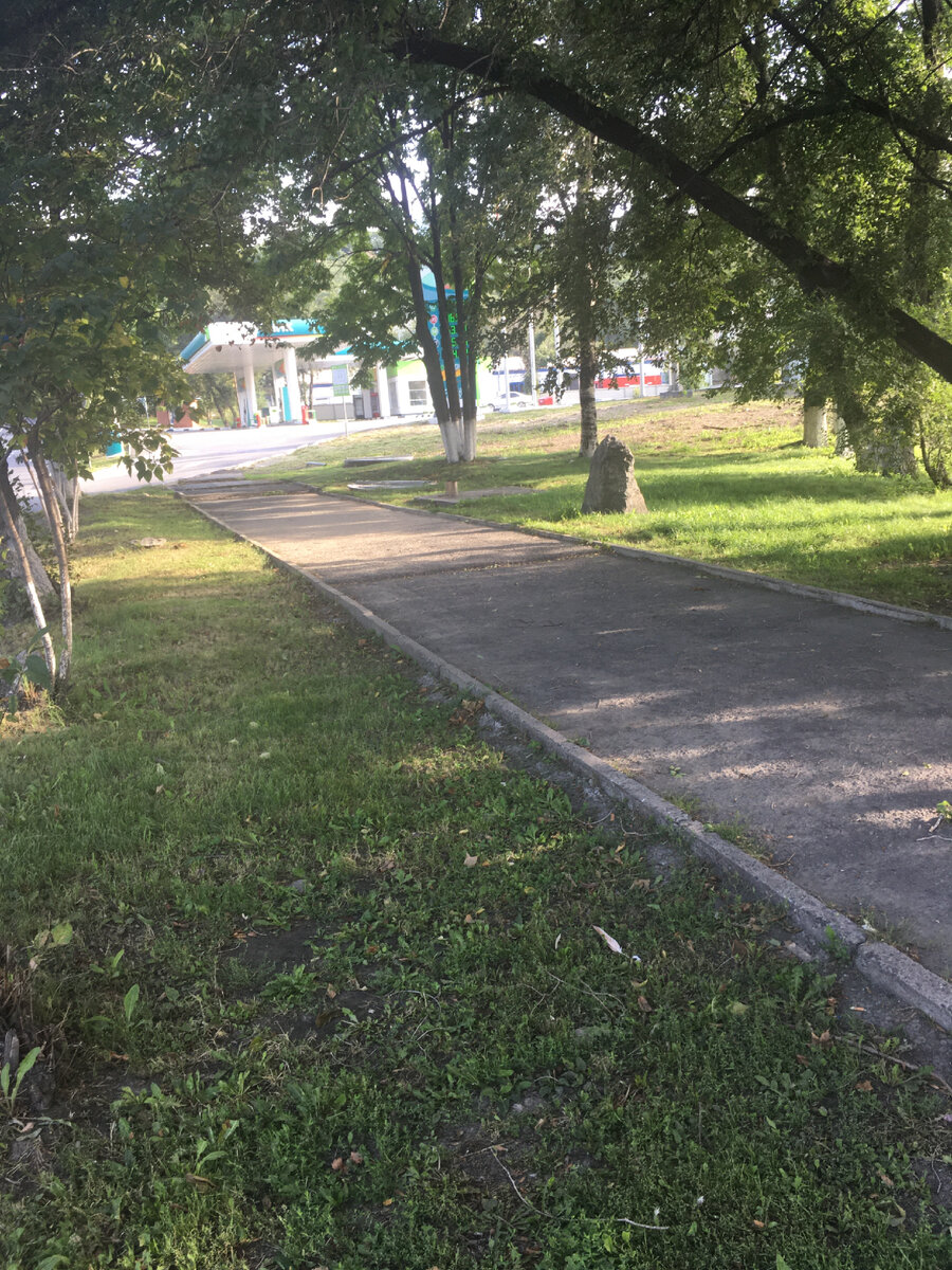 Скоро зелени совсем не будет 