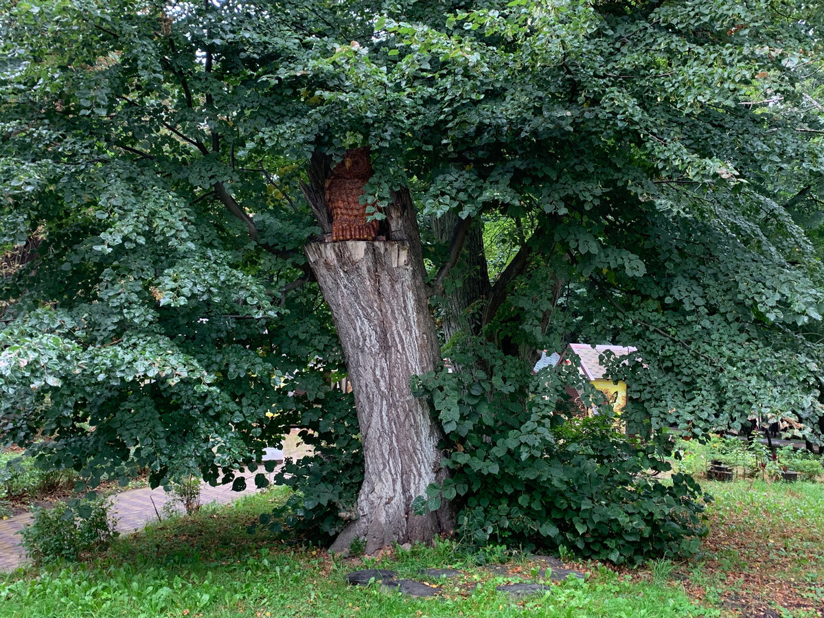 Парк